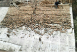 ۱۵ کشته و زخمی بر اثر تندباد در خوی