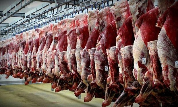 توزیع ۱۸ تن گوشت قرمز ویژه ماه مبارک رمضان در شهرستان خوی آغاز شد