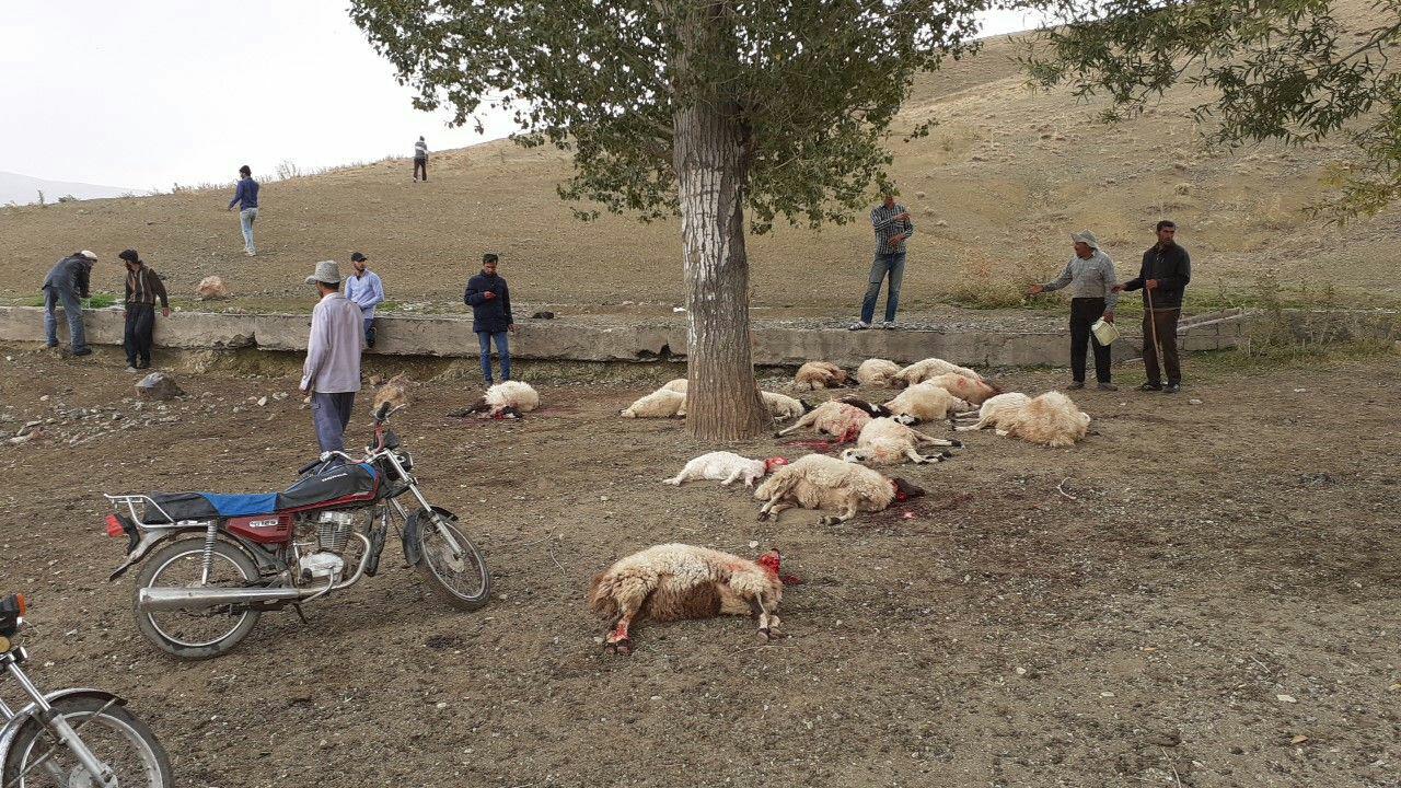 تلف شدن ۳۰ راس گوسفند در روستای کلوانس بخش صفائیه خوی