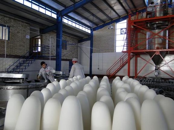 تولید شکر در کارخانه قند خوی ۵۰ درصد افزایش یافت