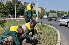 یکصدهزار بوته گل در خوی کاشته شد