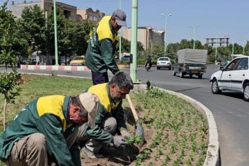 یکصدهزار بوته گل در خوی کاشته شد
