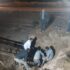 عملیات بازسازی خط انتقال آب چهار روستای خوی پس از سیلاب